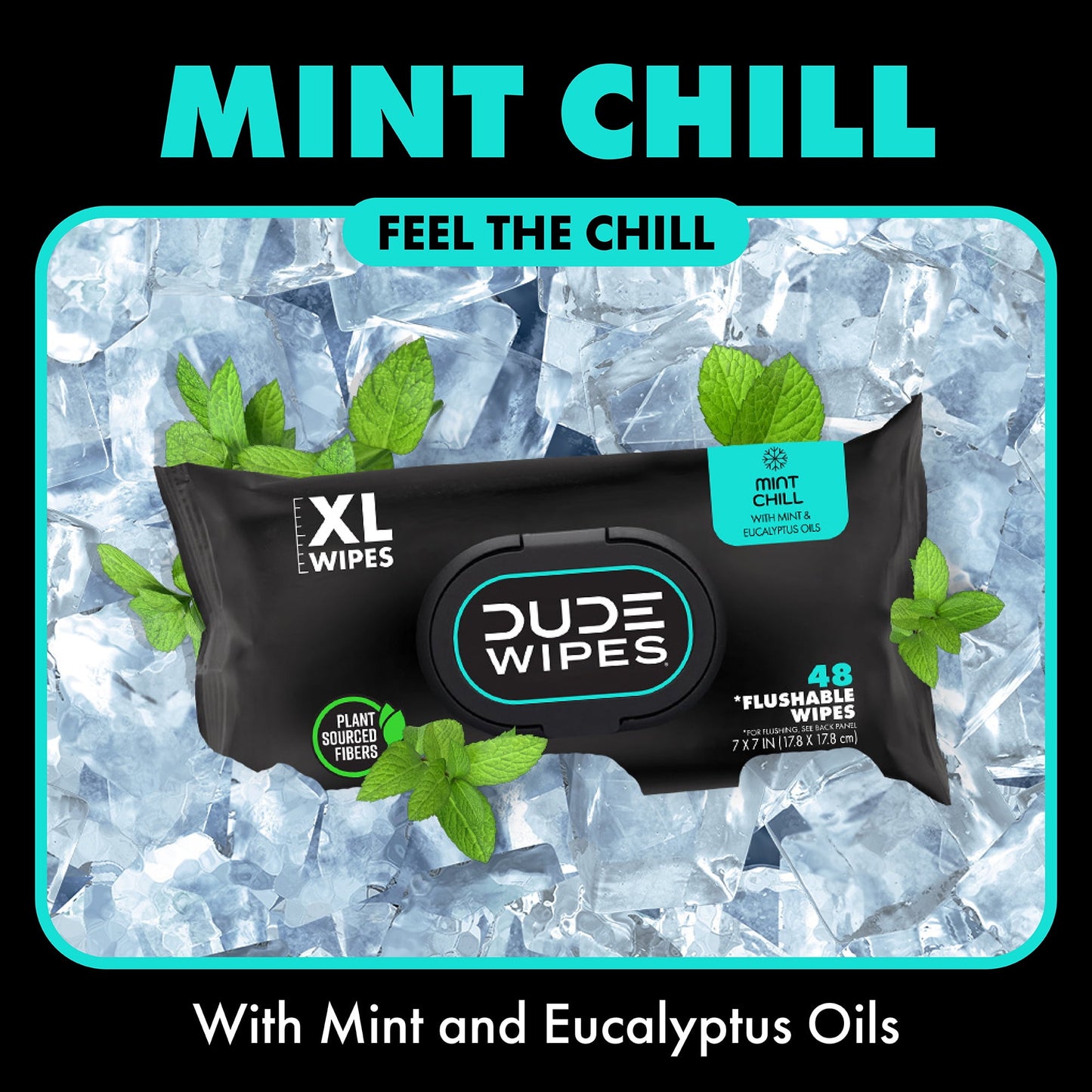 Wipes Flushable Wipes, XL Wet Wipes for at Home Use, Mint Chill, 48 Count, 5 Pack
