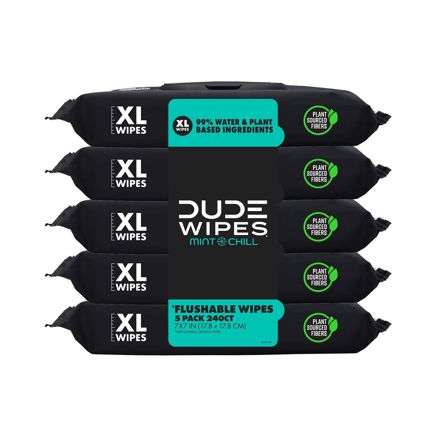 Wipes Flushable Wipes, XL Wet Wipes for at Home Use, Mint Chill, 48 Count, 5 Pack