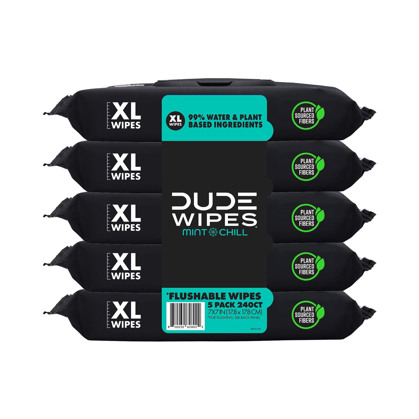Wipes Flushable Wipes, XL Wet Wipes for at Home Use, Mint Chill, 48 Count, 5 Pack