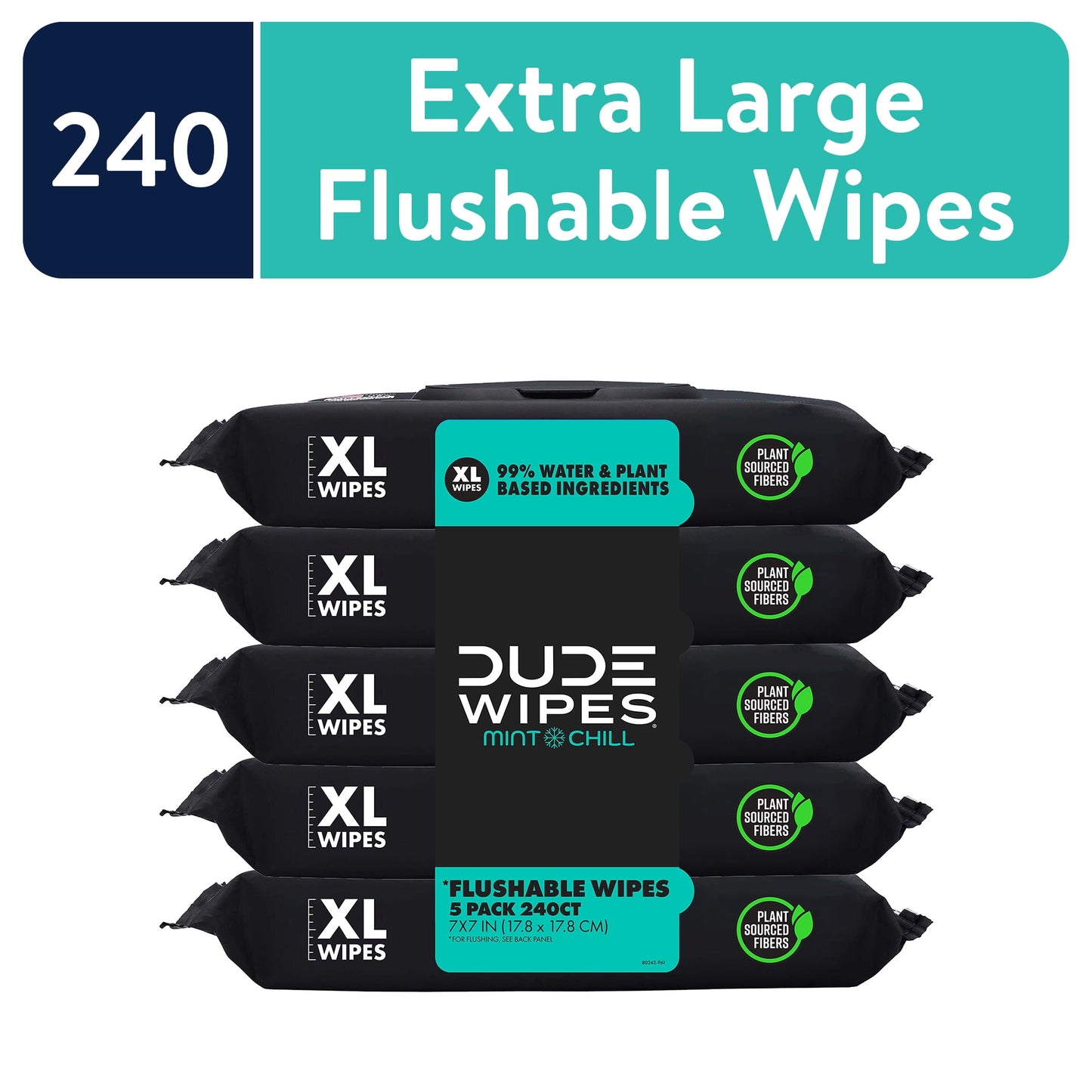 Wipes Flushable Wipes, XL Wet Wipes for at Home Use, Mint Chill, 48 Count, 5 Pack