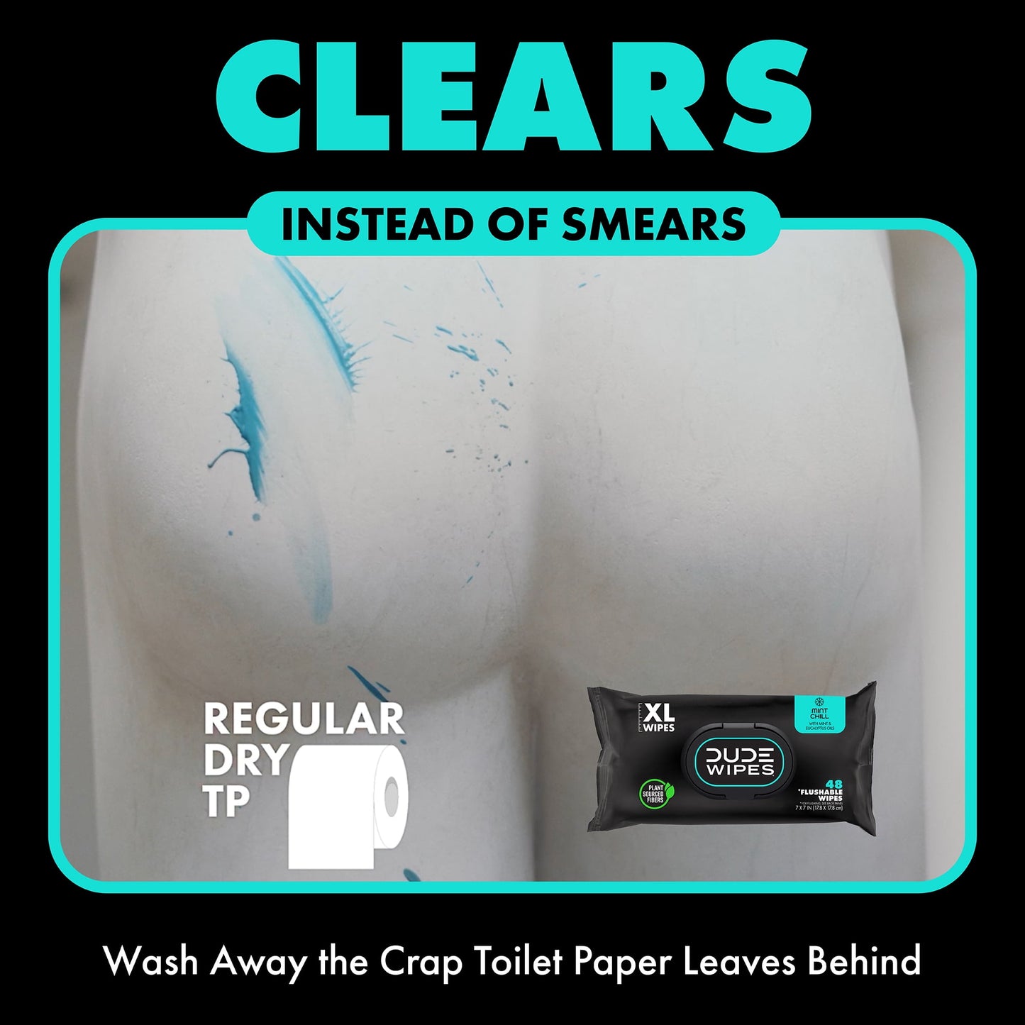 Wipes Flushable Wipes, XL Wet Wipes for at Home Use, Mint Chill, 48 Count, 5 Pack