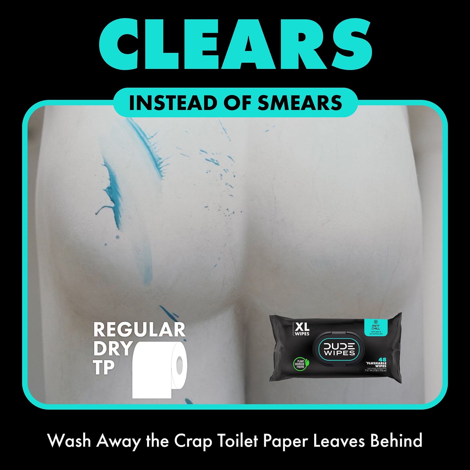 Wipes Flushable Wipes, XL Wet Wipes for at Home Use, Mint Chill, 48 Count, 5 Pack